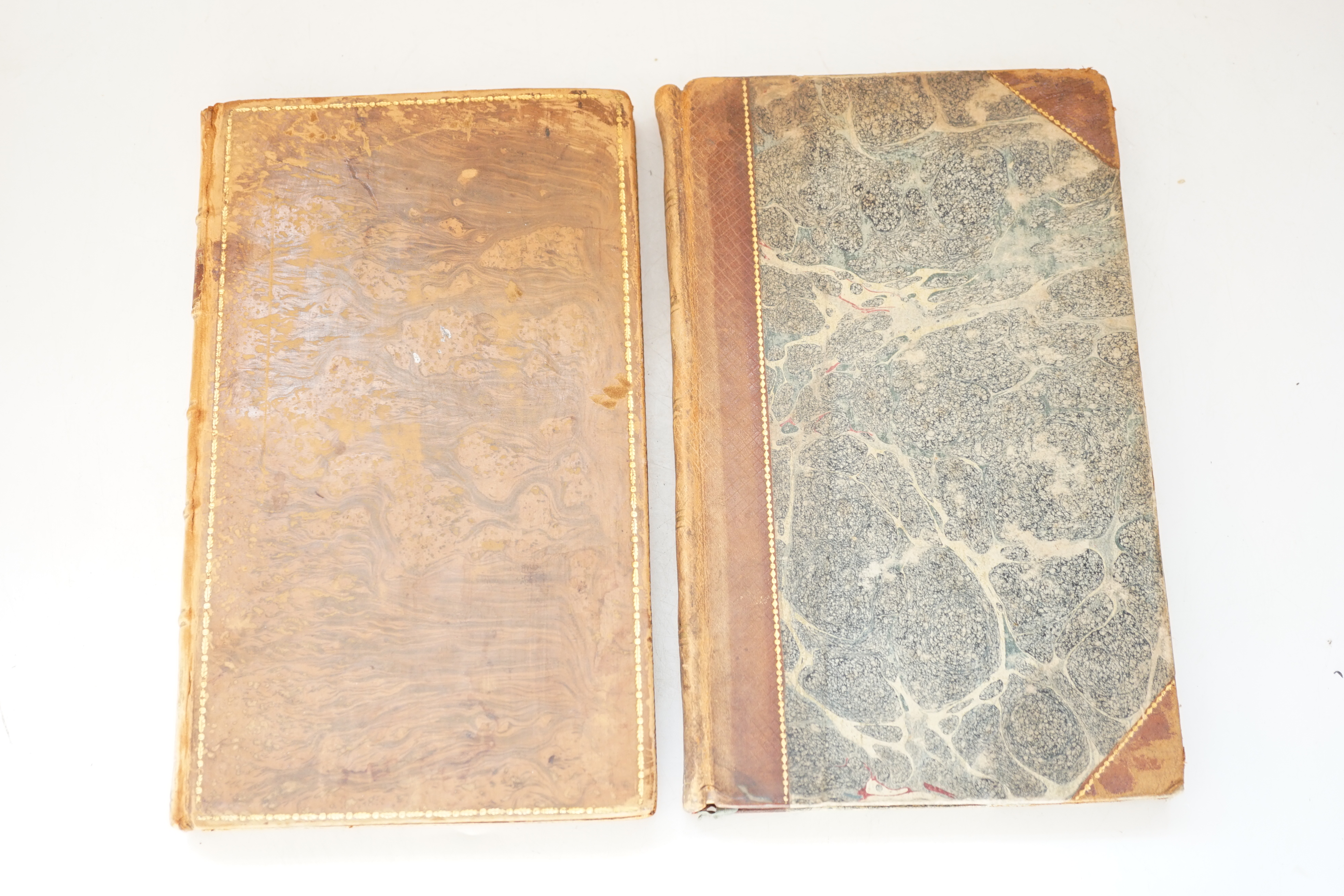 Martyn, Thomas - Thirty-Eight Plates, with Explanations: intended to illustrate Linnaeus's System of Vegetables, 1st edition, 8vo, tree calf, 38 hand-coloured engraved plates by F.R. Nodder, fore-edge margins to leaves u